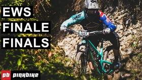 你们吃瓜了吗原声,吃瓜了吗？揭秘娱乐圈最新热点事件