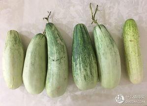 吃瓜吃的有点太明显了,揭秘过度关注娱乐圈背后的心理奥秘