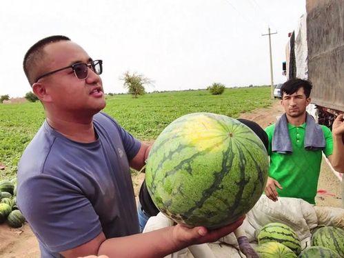 吃瓜事件从哪里看到,网络舆论场中的热点追踪与反思