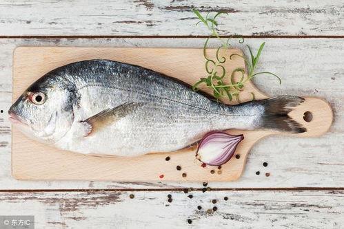 鱼葵吃瓜,揭秘美食背后的趣味故事