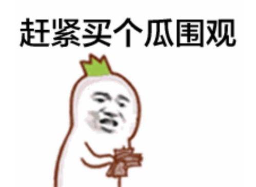 npc吃瓜表情包,揭秘网络社交新潮流