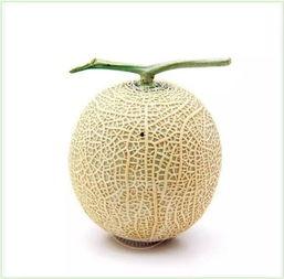 吃瓜群众吃白鹭,一场意外的美食邂逅