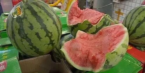 摄影吃瓜搜什么,探寻摄影与吃瓜文化的奇妙交融