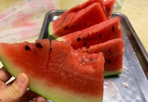 黑美人吃地雷瓜,黑美人勇闯地雷瓜奇遇记