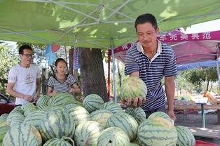 济源吃瓜最新视频,最新视频揭秘幕后真相