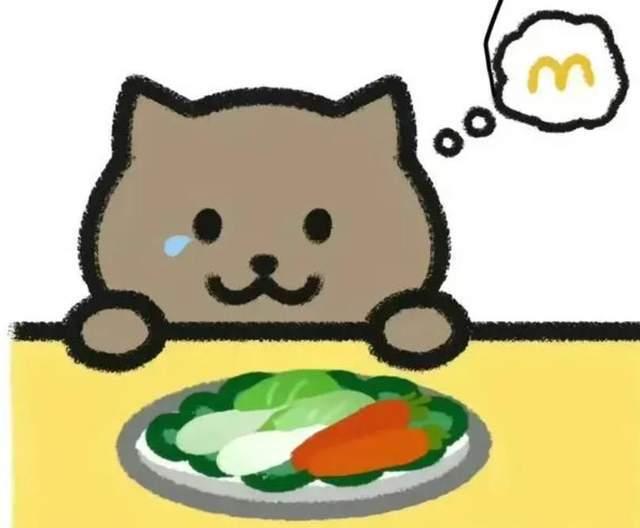 吃瓜网站胖猫,揭秘娱乐圈幕后真相