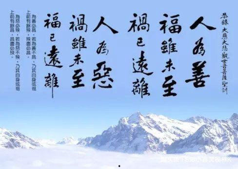 吃瓜盟主谈哲学,趣味与智慧的碰撞