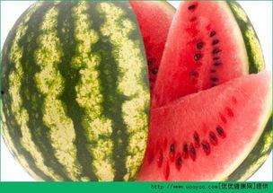 每天都在吃瓜,揭秘娱乐圈的幕后故事