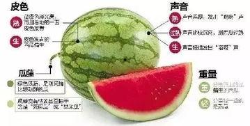 吃瓜入口微信,微信新功能带你轻松追剧聊八卦