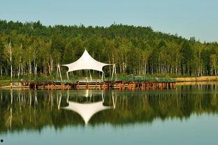 金水湖畔 吃瓜,夏日吃瓜盛宴，畅享清凉时光