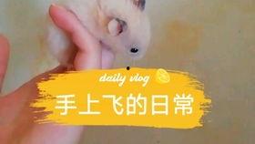 小说吃瓜背景板,揭秘小说背后的娱乐风云