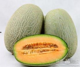 在水下吃哈密瓜,探寻水下吃哈密瓜的独特体验