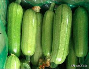 吃小瓜的功郊,养生保健新选择