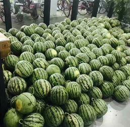 学校吃瓜群头像,揭秘校园生活趣味瞬间