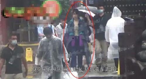 假酒吃瓜少女,揭秘少女生吃瓜背后的真相